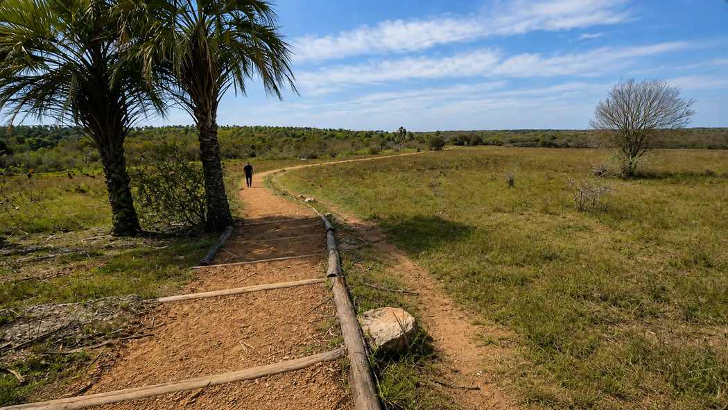 Path through the open landscape of El Palmar