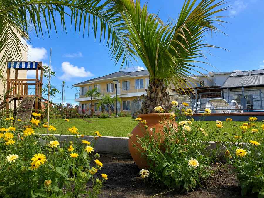 Garden with yellow flowers and a clay pot